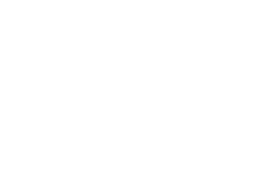Ali Lalani